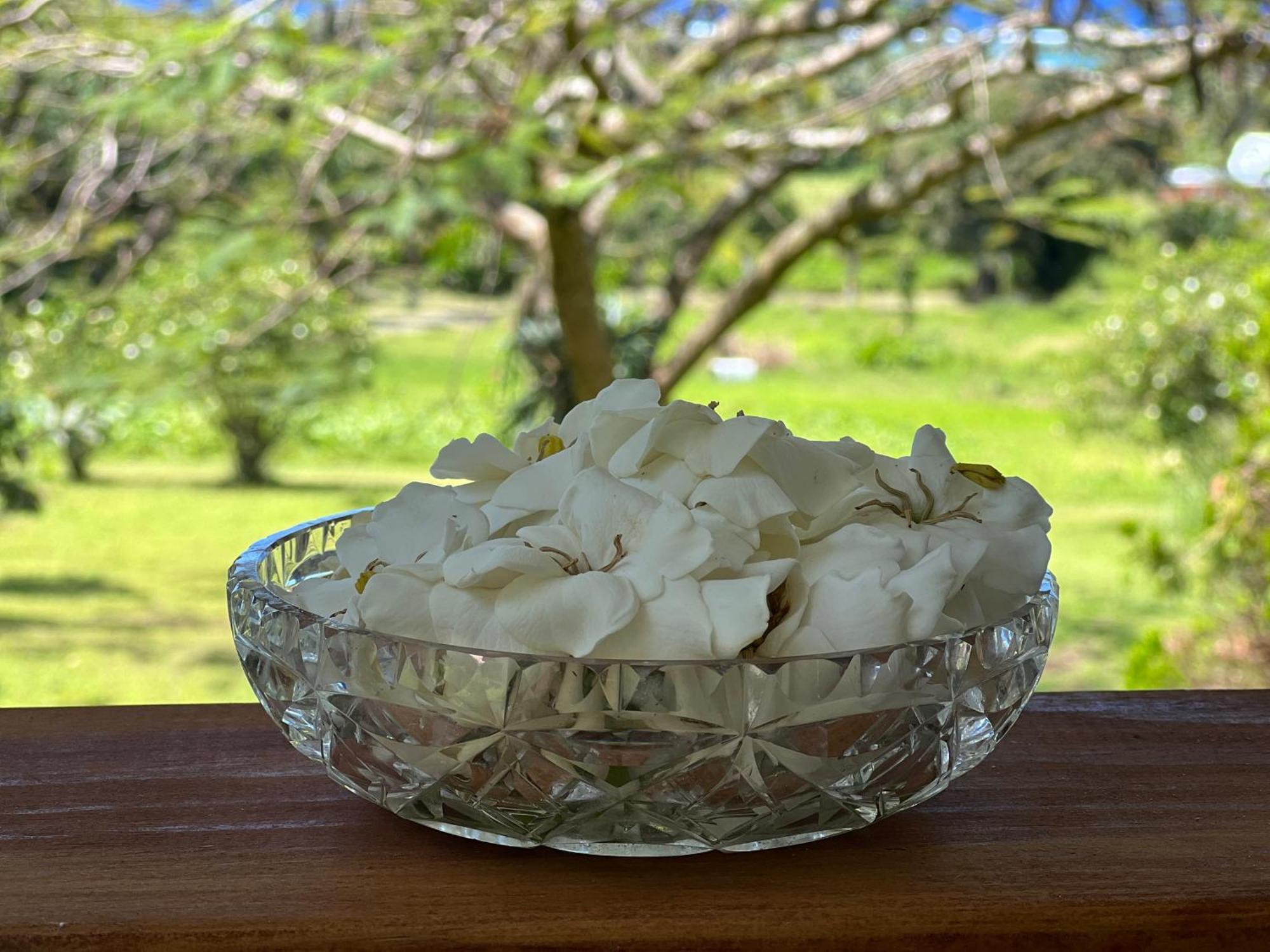 Vila Avocado Retreat Rarotonga Exteriér fotografie